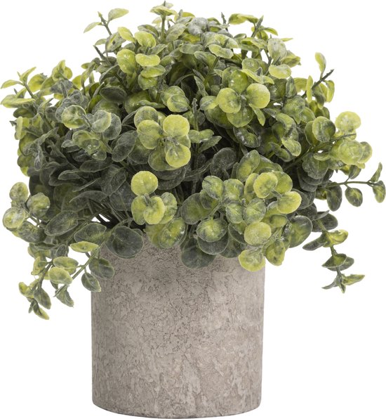 GreenDream® Kunstplanten set met 3 Kleine kunstplanten 20 cm - Cadeautip