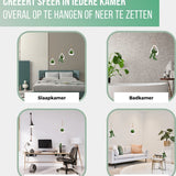 GreenDream® Kunstplanten - in - Cadeautip