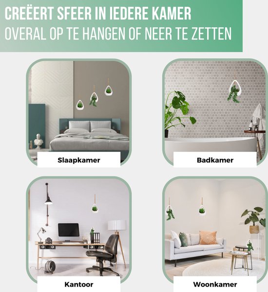 GreenDream® Kunstplanten - in - Cadeautip