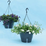 Aqua Easy - Met Waterreservoir - 32cm - Hangppot voor buiten - Bloempotten voor buiten - Bloempot - Waterbesparend -Bloempot buiten - Bloempot Kunststof - Planten hanger - Bloempotten - Cadeau - Verjaardag Cadeau - Moederdag Cadeau - Vaderdag Cadeau.