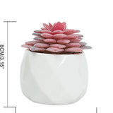 GreenDream® Kunstplanten - in - Cadeautip