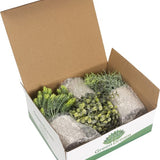 GreenDream® Kunstplanten set met 3 Kleine kunstplanten 20 cm - Cadeautip