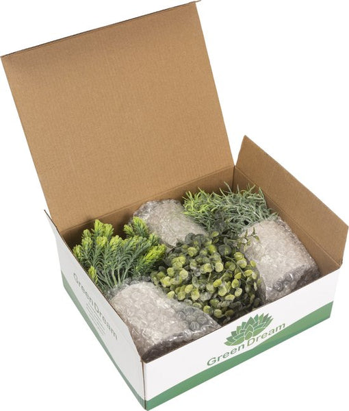 GreenDream® Kunstplanten set met 3 Kleine kunstplanten 20 cm - Cadeautip