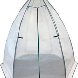 Westmann Plant Overwinteringstent Avocado - 250x250x250 cm
