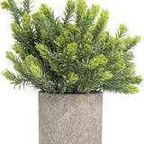 GreenDream® Kunstplanten set met 3 Kleine kunstplanten 20 cm - Cadeautip