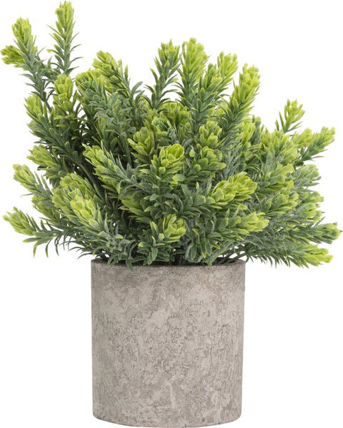 GreenDream® Kunstplanten set met 3 Kleine kunstplanten 20 cm - Cadeautip