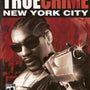 True Crime, New York City (DVD-ROM)