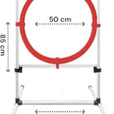 Agility voor de Hond - Complete Set inclusief Draagtas - Training van Honden - Honden Slalom - Agility Set voor Honden