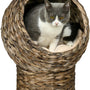 Rotan Kattenmand - Gezellig Kattenholletje met Kussen - 42x33x52cm
