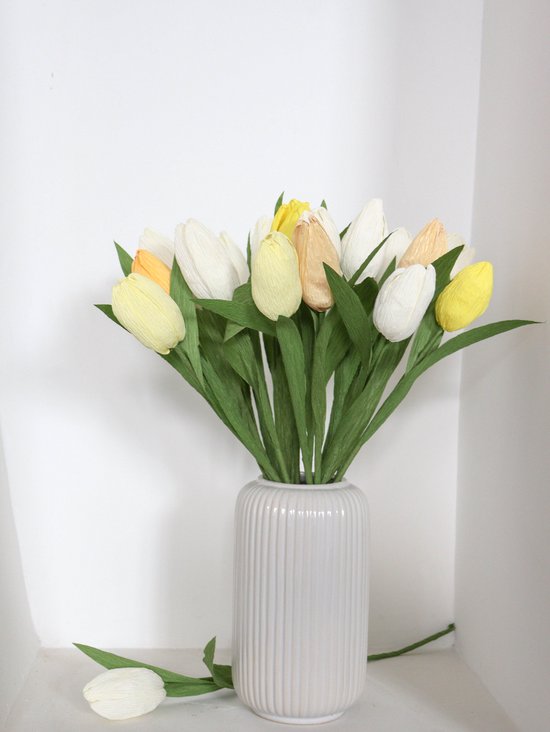 DIY Bloemen Knutselset van Crêpepapier – Maak Zelf Papieren Bloemen & Boeket – Creatieve Hobby Set voor Volwassenen & Kinderen – Inclusief Instructies