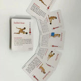50 Positions of Bondage – Erotisch Kaartspel voor Koppels – Positiekaarten voor Intimiteit & Variatie – Volwassenen Spel