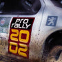 Pro Rally 2002