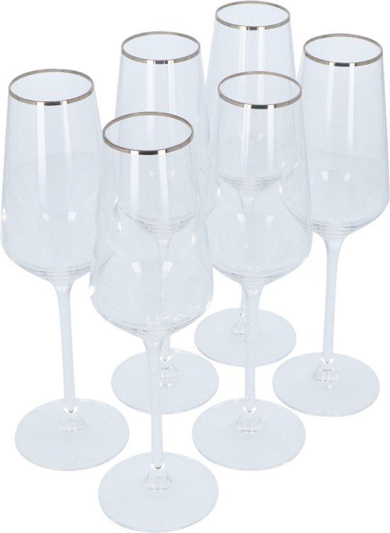 Alvito Champagneglazen set van 6 stuks - inhoud 21 cl - met Zilveren Rand