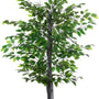 4goodz Kunstplant Banyanboom Ficus Benghalensis 145cm