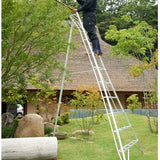 Niwaki - Tuinladder - NW03000