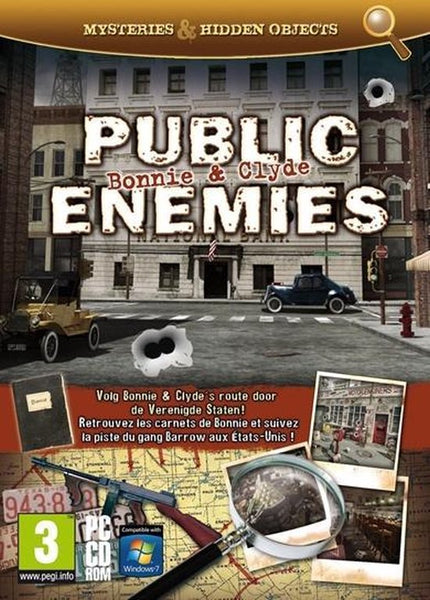 Public Enemies