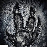 Evolve (Inc. Monster Expansion Pack) -PC