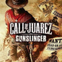 Call of Juarez: Gunslinger