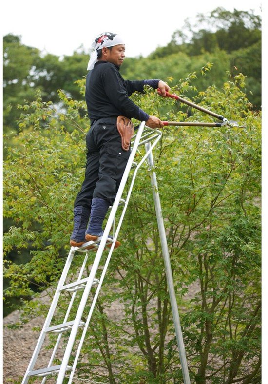 Niwaki - Tuinladder - NW03000