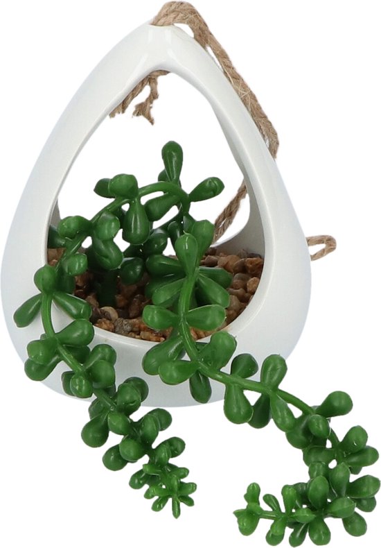GreenDream® Kunstplanten - in - Cadeautip
