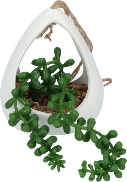 GreenDream® Kunstplanten - in - Cadeautip