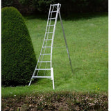 Niwaki Driepoot Tuinladder 300-360 cm Verstelbaar- Snoeiladder Plukladder