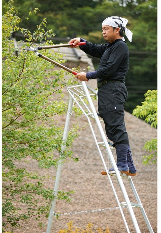 Niwaki - Tuinladder - NW03600