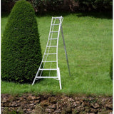 Niwaki 3-poot Tuinladder 240-300 cm in Hoogte Verstelbaar - Plukladder NW02700