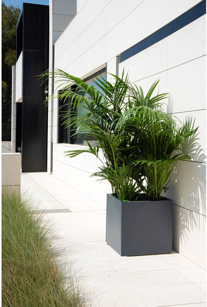 Herstera Garden® Cube Plantenbak HG08976803 - 70x70x70 cm - Antraciet