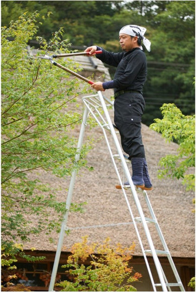 Niwaki - Tuinladder - NW03600
