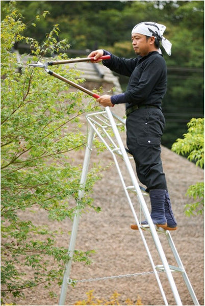 Niwaki - Tuinladder - NW03600