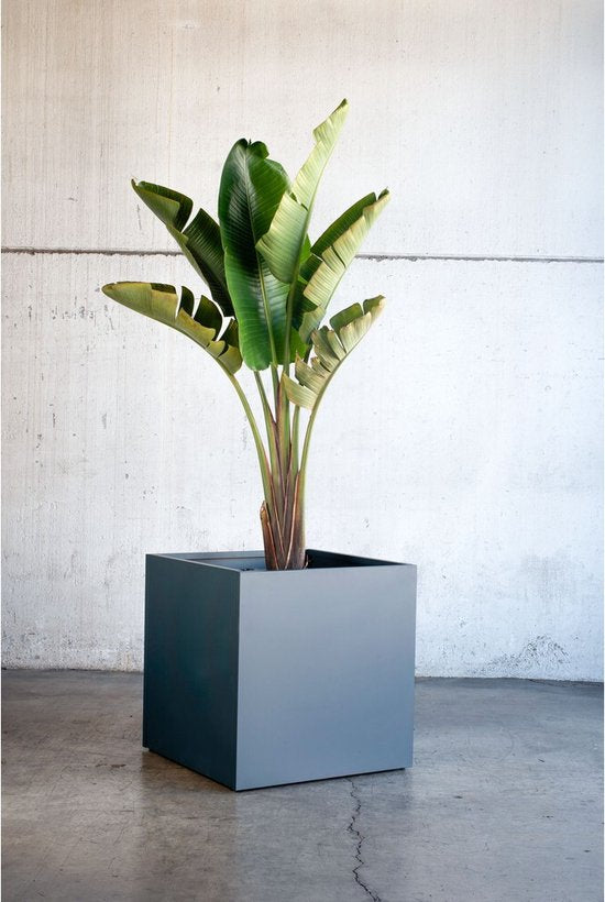 Herstera Garden® Cube Plantenbak HG08976803 - 70x70x70 cm - Antraciet