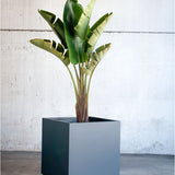 Herstera Garden® Cube Plantenbak HG08976803 - 70x70x70 cm - Antraciet