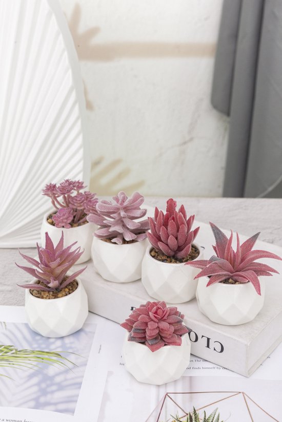 GreenDream® Kunstplanten - in - Cadeautip