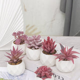 GreenDream® Kunstplanten - in - Cadeautip