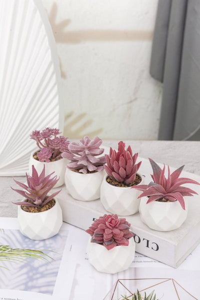 GreenDream® Kunstplanten - in - Cadeautip