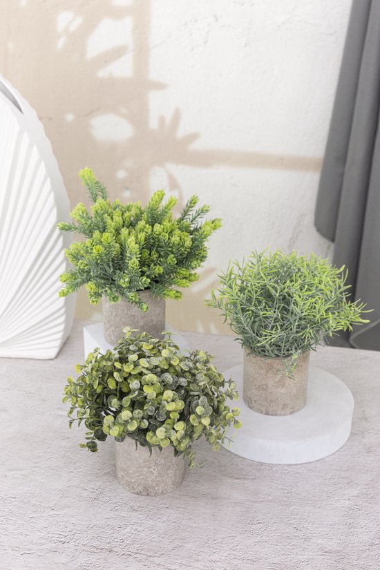 GreenDream® Kunstplanten set met 3 Kleine kunstplanten 20 cm - Cadeautip