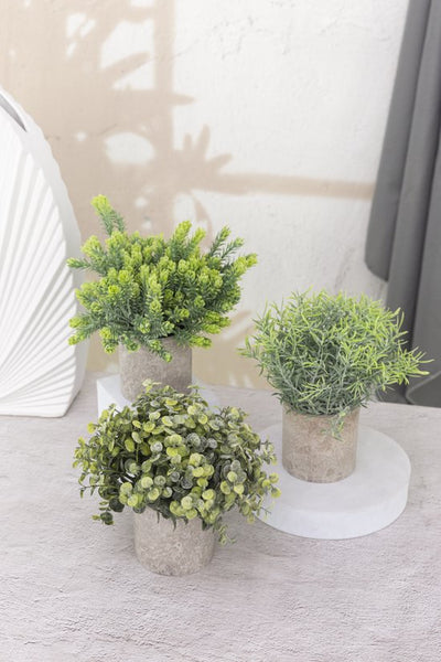 GreenDream® Kunstplanten set met 3 Kleine kunstplanten 20 cm - Cadeautip