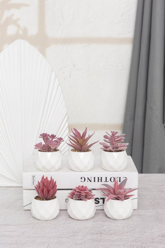 GreenDream® Kunstplanten - in - Cadeautip