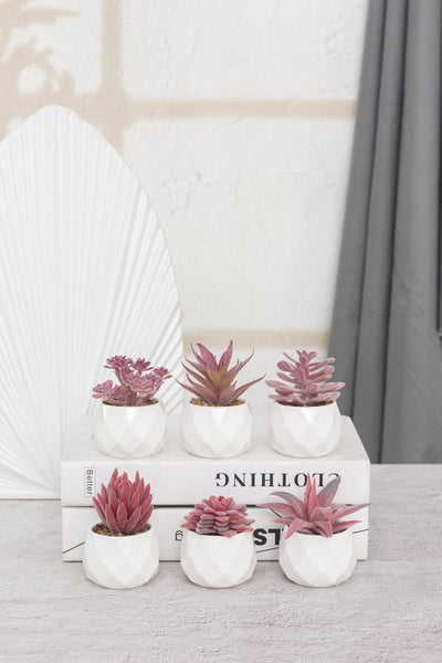 GreenDream® Kunstplanten - in - Cadeautip