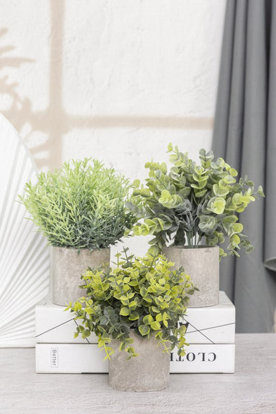 GreenDream® Kunstplanten - stuks - Cadeautip