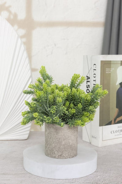 GreenDream® Kunstplanten set met 3 Kleine kunstplanten 20 cm - Cadeautip