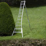 Niwaki Driepoot Tuinladder 330 cm Verstelbaar/ Snoeiladder Tripod Ladder
