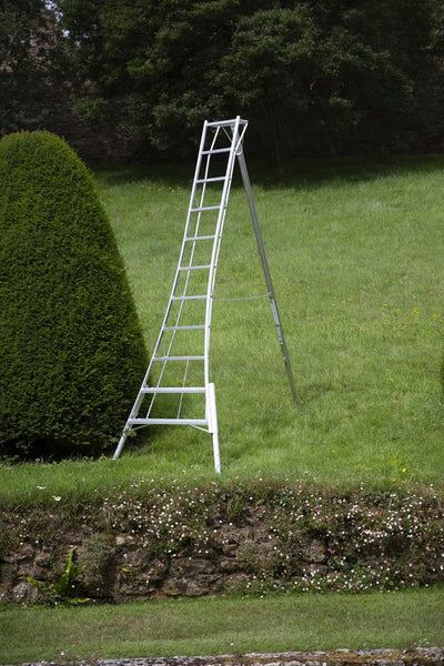 Niwaki Driepoot Tuinladder 330 cm Verstelbaar/ Snoeiladder Tripod Ladder