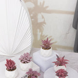 GreenDream® Kunstplanten - in - Cadeautip