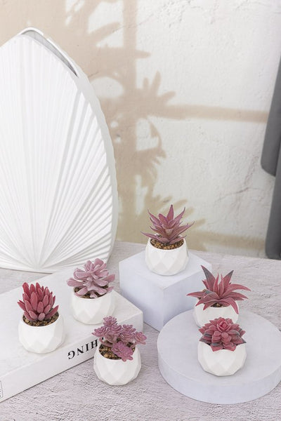 GreenDream® Kunstplanten - in - Cadeautip