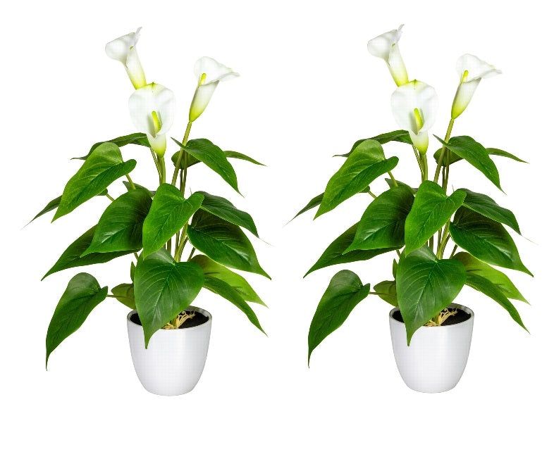 Kopu® 2 stuks Calla Kunstplant 44 cm - Zantedeschia Bekerplant Wit