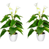 Kopu® 2 stuks Calla Kunstplant 44 cm - Zantedeschia Bekerplant Wit