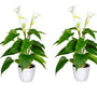 Kopu® 2 stuks Calla Kunstplant 44 cm - Zantedeschia Bekerplant Wit