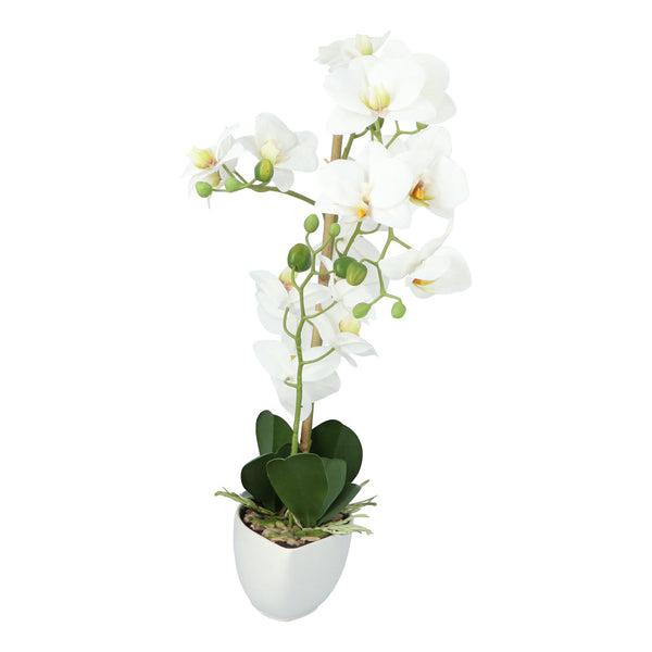 Kopu® Kunstbloem Orchidee 60 cm Wit met Schaal Ovaal - Phalenopsis